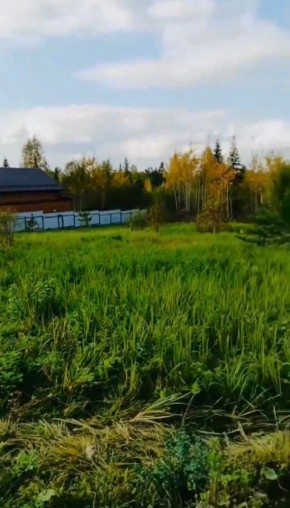 ДП Родной в Артемовском - artemovskij.yutvil.ru - фото 1