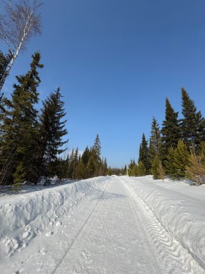 ДП Родной в Артемовском - artemovskij.yutvil.ru - фото 7