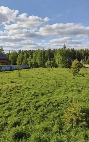 ДП Родной в Артемовском - artemovskij.yutvil.ru - фото 3 ДП Родной в Артемовском - artemovskij.yutvil.ru - фото 3