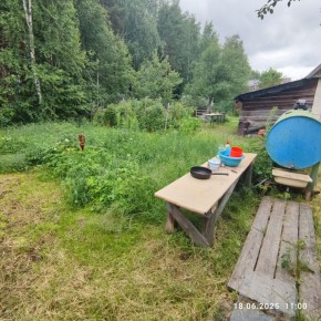 г Верхняя пышма, СНТ Мираж, уч.№ 99 в Артемовском - artemovskij.yutvil.ru - фото 18