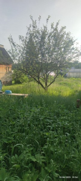 г Верхняя пышма, СНТ Мираж, уч.№ 99 в Артемовском - artemovskij.yutvil.ru - фото 19