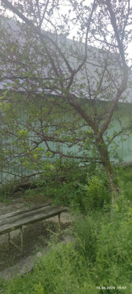 г Верхняя пышма, СНТ Мираж, уч.№ 99 в Артемовском - artemovskij.yutvil.ru - фото 26