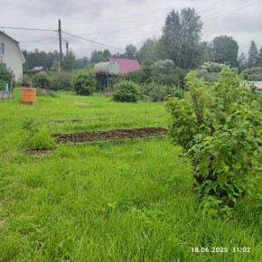 г Верхняя пышма, СНТ Мираж, уч.№ 99 в Артемовском - artemovskij.yutvil.ru - фото 8