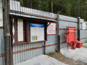 г.Верхняя Пышма СНТ №5 Березки в кв. 22 Среднеуральского Уралмашевского лесхоза в Артемовском - artemovskij.yutvil.ru - фото 18