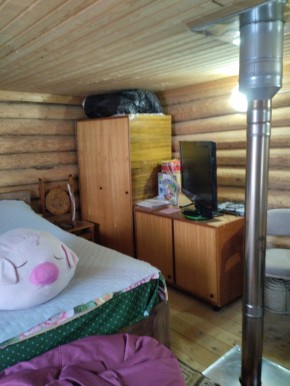 Коллективный сад номер 7, участок 58 в Артемовском - artemovskij.yutvil.ru - фото 18 Коллективный сад номер 7, участок 58 в Артемовском - artemovskij.yutvil.ru - фото 18