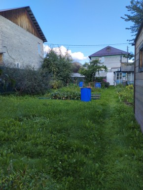 Коллективный сад номер 7, участок 58 в Артемовском - artemovskij.yutvil.ru - фото 26 Коллективный сад номер 7, участок 58 в Артемовском - artemovskij.yutvil.ru - фото 26