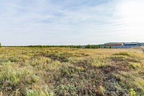 Российская Федерация, Свердловская область, Сысертский городской округ, территория садоводческого некоммерческого товарищества Бобровские дачи, улица Каштановая, земельный участок № 38 в Артемовском - artemovskij.yutvil.ru - фото 24