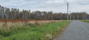 с. Новоалексеевское, КП Оникс, в Артемовском - artemovskij.yutvil.ru - фото 2 с. Новоалексеевское, КП Оникс, в Артемовском - artemovskij.yutvil.ru - фото 2