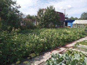 СНТ Медик-2 в Артемовском - artemovskij.yutvil.ru - фото 6