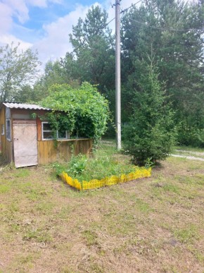 СНТ Родники в Артемовском - artemovskij.yutvil.ru - фото 2