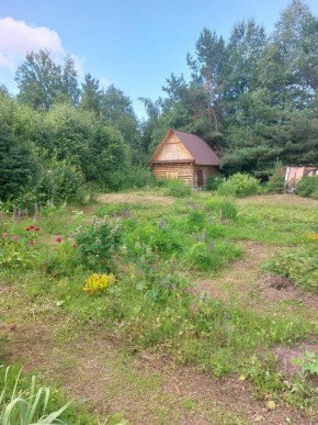 СНТ Родники в Артемовском - artemovskij.yutvil.ru - фото 3