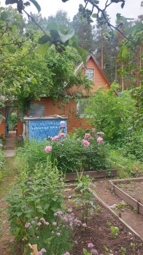 Екатеринбург, СНТ Садовод-24 в Артемовском - artemovskij.yutvil.ru