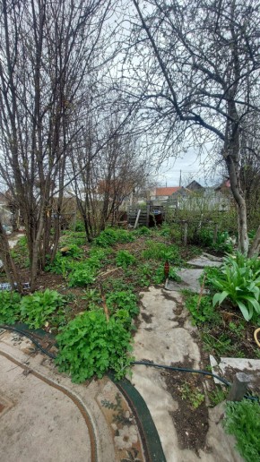 СНТ Сирень, уч. 38 в Артемовском - artemovskij.yutvil.ru - фото 7