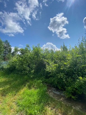СПК Юбилейный, уч. 9 в Артемовском - artemovskij.yutvil.ru - фото 8