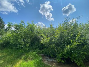 СПК Юбилейный, уч. 9 в Артемовском - artemovskij.yutvil.ru - фото 9