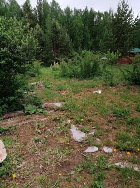 СТН Семья №112, Верхняя пышма на землях бывшего подсобного хозяйтва верхнепышминского опытного завода в Артемовском - artemovskij.yutvil.ru - фото 17 СТН Семья №112, Верхняя пышма на землях бывшего подсобного хозяйтва верхнепышминского опытного завода в Артемовском - artemovskij.yutvil.ru - фото 17