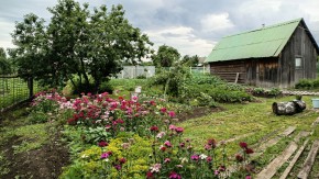 ул. 8-е Марта,46 в Артемовском - artemovskij.yutvil.ru - фото 6 ул. 8-е Марта,46 в Артемовском - artemovskij.yutvil.ru - фото 6