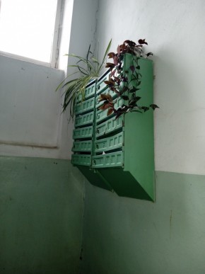 ул. Бажова,11 в Артемовском - artemovskij.yutvil.ru - фото 2