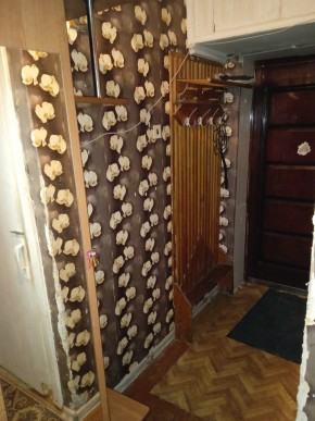 ул. Бажова,11 в Артемовском - artemovskij.yutvil.ru - фото 9