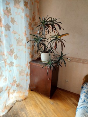 ул. Индустрии,29 в Артемовском - artemovskij.yutvil.ru - фото 4