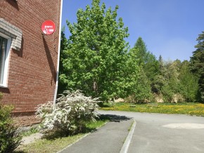 ул. Сосновая, 8 в Артемовском - artemovskij.yutvil.ru - фото 25