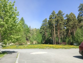 ул. Сосновая, 8 в Артемовском - artemovskij.yutvil.ru - фото 26