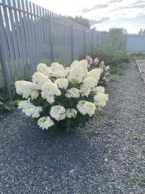 ул. Весенняя,12 в Артемовском - artemovskij.yutvil.ru - фото 20